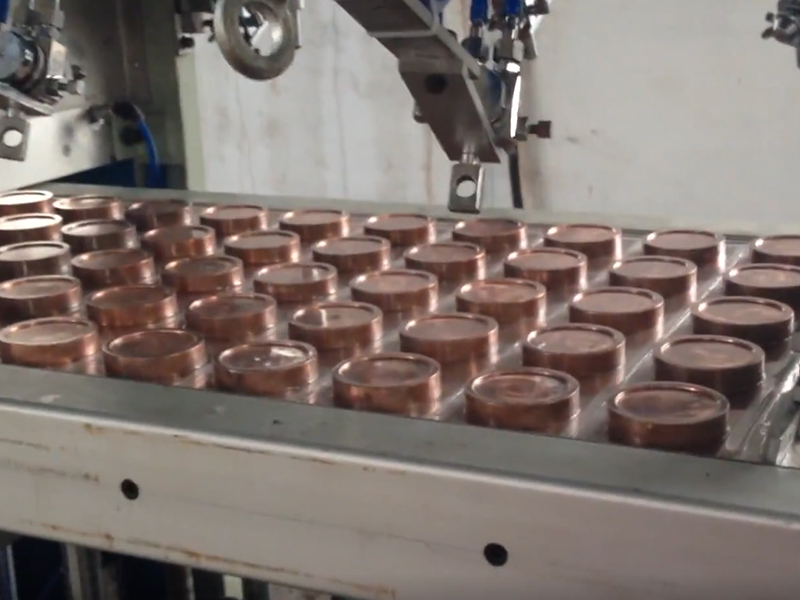 自动定量包装机在食物工业中的应用